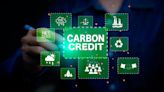 TMK, Kita team up on political risk cover for carbon credit projects