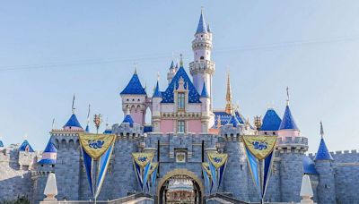 Disneyland Is Politely Tying To Crack Down On An Annoying Trend, And It's About Time