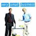 Very Small Business (TV series)