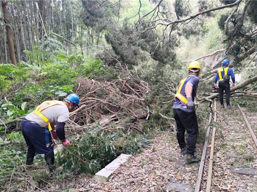 嘉義19震阿里山樹倒阻鐵路 文資處力拚7月全線通車 - 生活