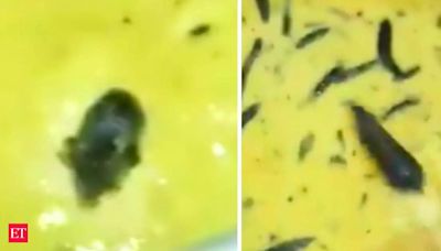 Hyderabad JNTU hostel horror: Rat found swimming in chutney. Video goes viral