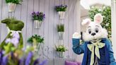 2024 Knoxville Easter egg hunts, Easter bunny photos and events for families and even dogs