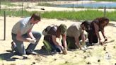 Living shoreline at Franklin Point State Park receives finishing touches