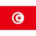 Tunisia national football team