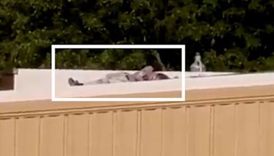 Videos Show Suspect Lying Motionless on Nearby Rooftop After Shooting