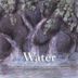 Healing Rain Forest: Water
