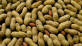 Peanuts! Get your peanuts! Kids who eat them early are much less likely to develop an allergy, studies conclude