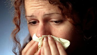 Different types of hay fever, what symptoms mean and how best to treat each one