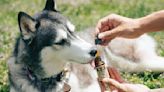 La cannabis medicinal también es un tratamiento que puede tomar tu mascota, con supervisión del veterinario