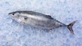 Good for your health and the environment: why we should be eating oily fish