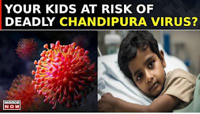 Chandipura Virus Claims Lives Of 6 Children In Gujarat: What Is This New Virus? | Daily Mirror