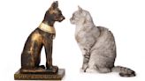 How Did Cats Come Into Our Lives? Here's a Brief Look at the Long History of Our Domestic Feline Friends