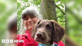 Forest of Dean dog walker attacked by bird of prey