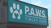 PAWS Tinley Park reopens after January fire