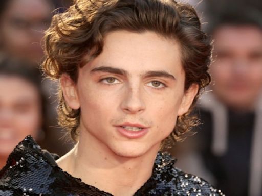 Timothée Chalamet In A24’s Next Project With Josh Safdie, Actor To Play Ping Pong Legend Marty Reisman