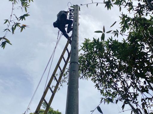 山陀兒颱風造成新竹地區大小停電事故 台電新竹全力搶修今晚6點皆已復電 | 蕃新聞