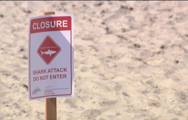 Teenager hurt after reported shark attack at popular Florida panhandle beach, deputies say