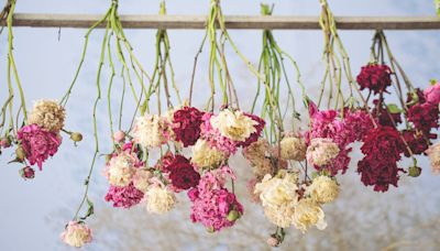 Make beautiful dried flowers in four simple steps