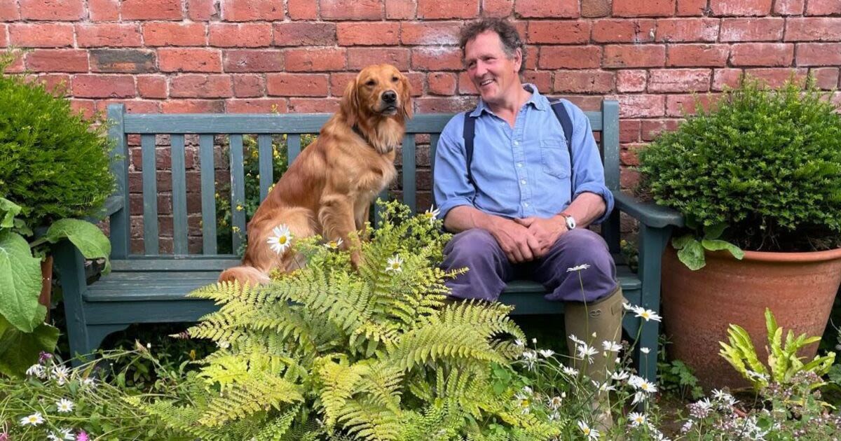 Monty Don fans all say the same thing as BBC host issues emotional dog update