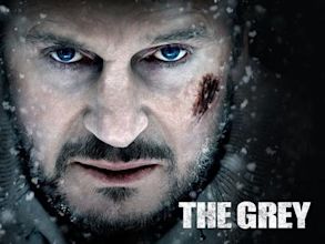 The Grey – Unter Wölfen