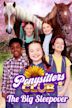 Ponysitters Club: The Big Sleepover