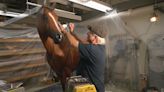 Mike Prather repaints Derby horse for museum's Winner's Circle display