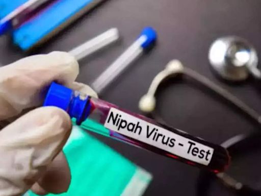 Nipah virus claims teen's life in Kerala, 60 high-risk cases identified