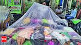 Plastic back at hawking stalls with transparent sheets | Kolkata News - Times of India