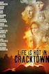 Life Is Hot in Cracktown