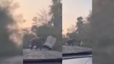 Wild elephant gently flips truck and halts traffic on road in Thailand