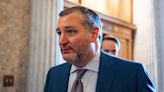Cruz introduces bill requiring transparency over foreign funds in schools