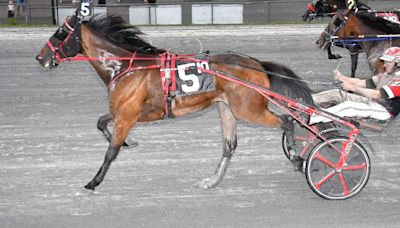 Marauder Seelster is longshot winner in Vernon Downs feature