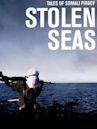 Stolen Seas