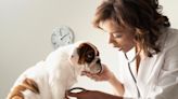 5 ways to get cheap pet insurance