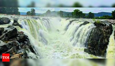 Cauvery water inflow at Biligundulu reaches near 1 lakh cusecs | Salem News - Times of India