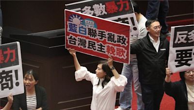 林宜瑾轟藍白舉手表決「荒謬」 喊話：賴政府上任國會也要重生
