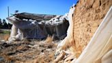 Fresno allows ‘demolition by neglect’ of historic gem — city’s unique adobe house | Opinion