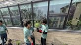 Ecology Club Unveils New Pocket Prairie At West Leyden - Journal & Topics Media Group