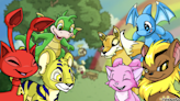 Neopets Fans ‘Care Less’ About Crypto, CEO Says