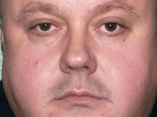 Serial killer Levi Bellfield had sex with prison guard in prison claims book