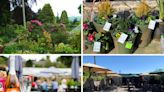 Five of the 'very best' garden centres in County Durham to visit this weekend