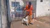 Família encontra cão que a salvou de incêndio em Ribeirão Preto: 'a gente nem acreditou'