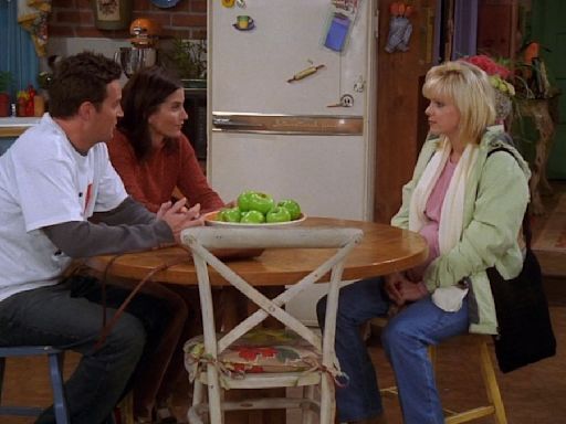 ...Audacious For Me To Speak Too Much,' Says Anna Faris About Getting To Work With Matthew Perry On Friends