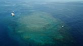 La Gran Barrera de Coral : a las puertas de la lista del patrimonio mundial "en peligro"