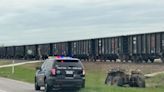 18-wheeler, train collide in Hutto Wednesday morning; No injuries reported