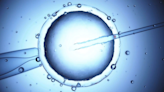 Alabama's IVF bill renews debate over industry regulation