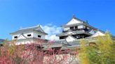 國人赴日旅遊平均提前近三個月預訂住宿 二線城市及地方特色景點旅遊比例增