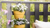 Container garden ideas – add colour and personality to your plot regardless of its size