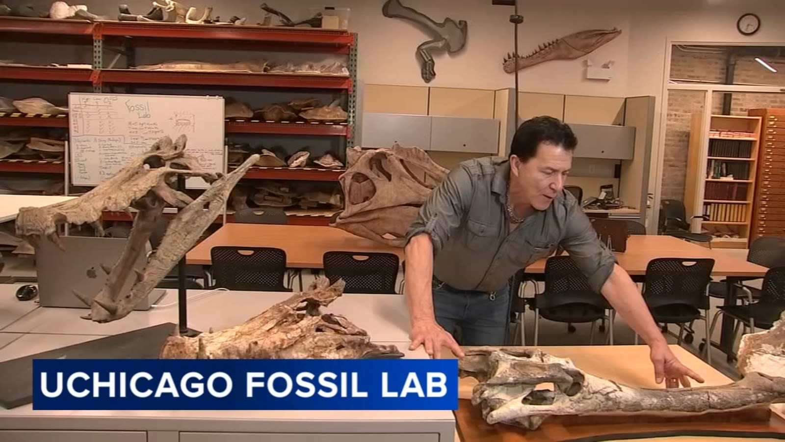 University of Chicago fossil lab opens in Washington Park