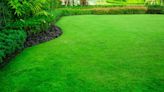 Mastering Your Lawn: Pro Tips for Lush, Healthy Greenery